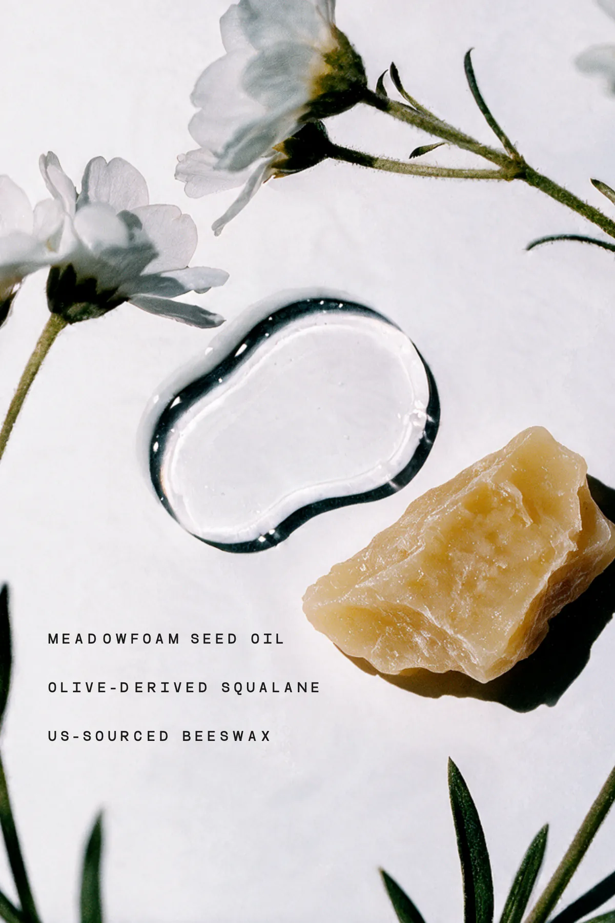 Meadowfoam flowers, a swatch of squalane, and a piece of raw beeswax