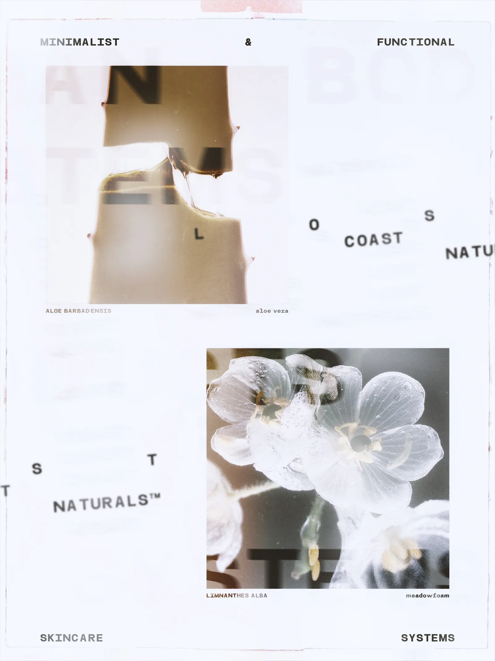 Scanned ingredient specimen plate